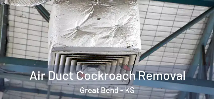  Air Duct Cockroach Removal Great Bend - KS