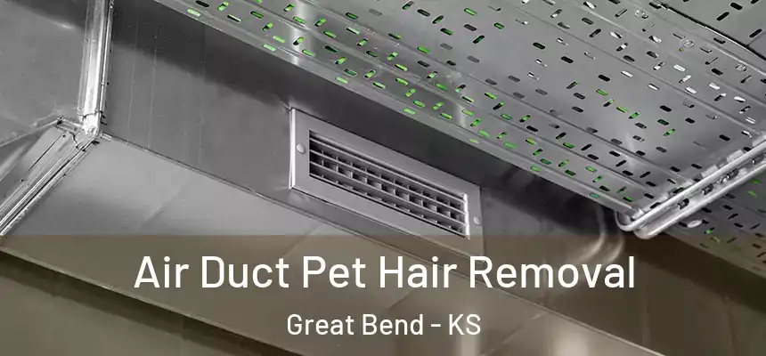 Air Duct Pet Hair Removal Great Bend - KS