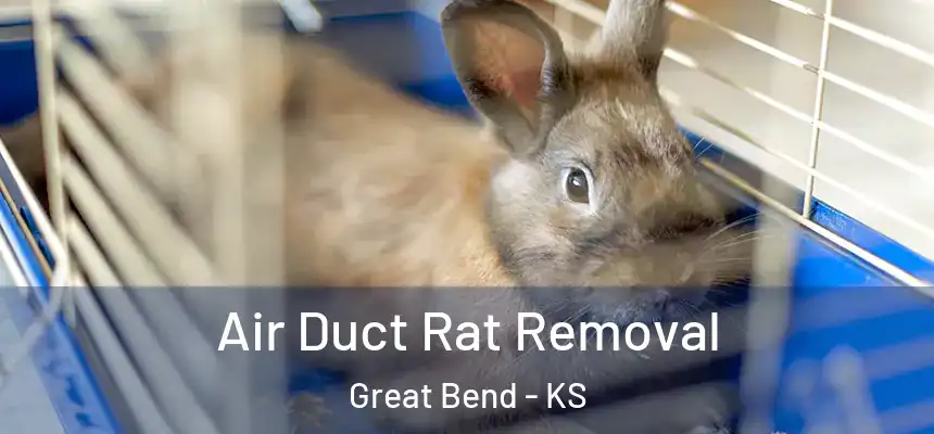 Air Duct Rat Removal Great Bend - KS