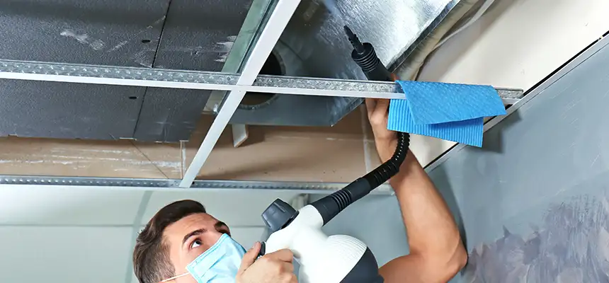 Our Air Duct Rodent Removal Services in Great Bend, KS