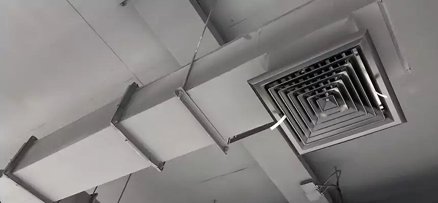 Our Rodent Droppings In Vents Services in Great Bend, KS