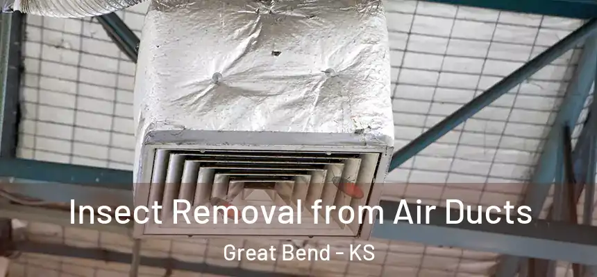 Insect Removal from Air Ducts Great Bend - KS