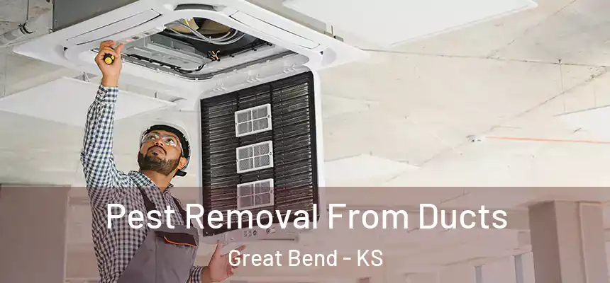  Pest Removal From Ducts Great Bend - KS