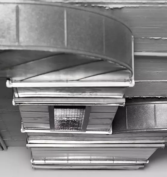 Professional Air Duct Pest Removal in Great Bend, KS