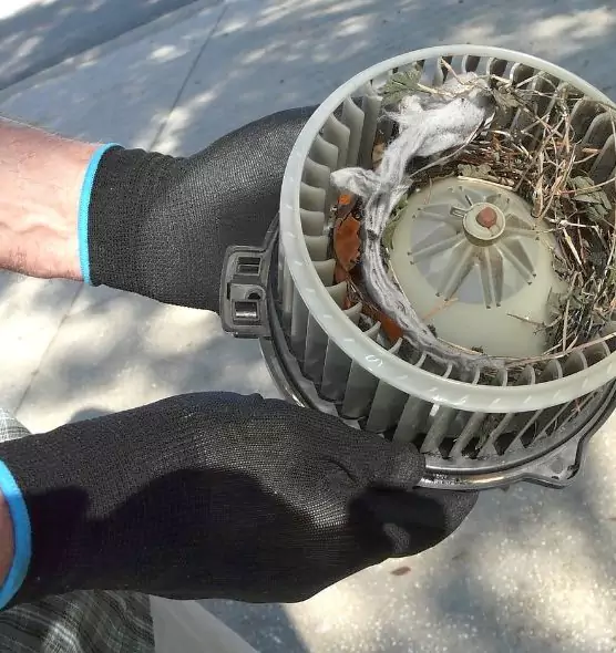 About Air Duct Rat Removal in Great Bend, KS