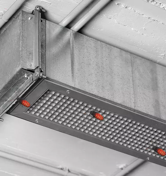 Affordable Insect Removal from Air Ducts in Great Bend, KS